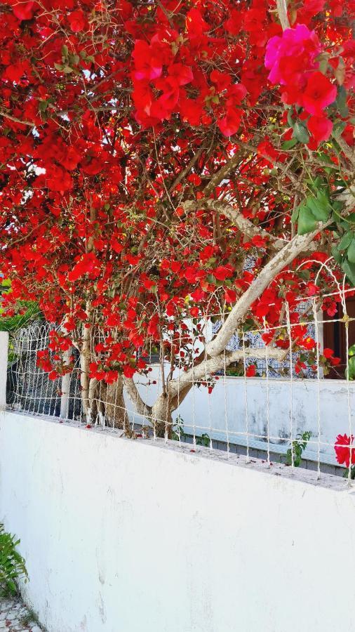 Arrabida Cozy House Villa Palmela Eksteriør billede